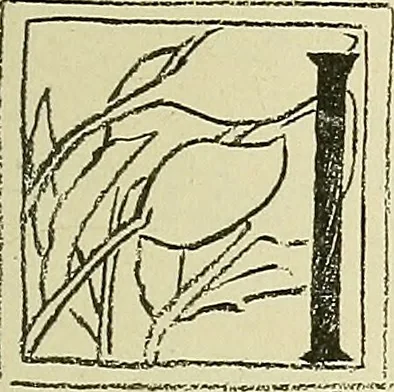 An illustration from Boston public schools : outline of lessons in drawing, 1898-99, 1898, leaf 86