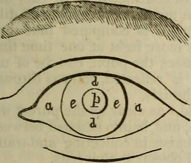 An illustration from The Boston school compendium of natural and experimental philosophy .., 1837, leaf 150