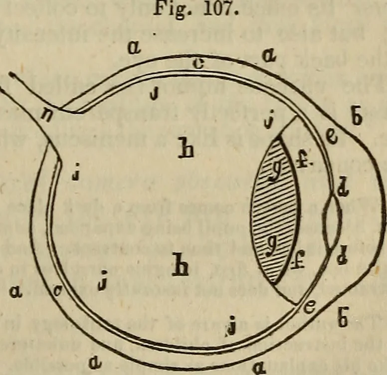 An illustration from The Boston school compendium of natural and experimental philosophy .., 1837, leaf 150