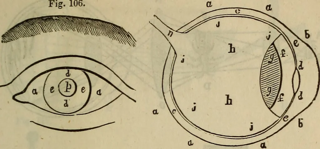 An illustration from The Boston school compendium of natural and experimental philosophy .., 1837, leaf 254