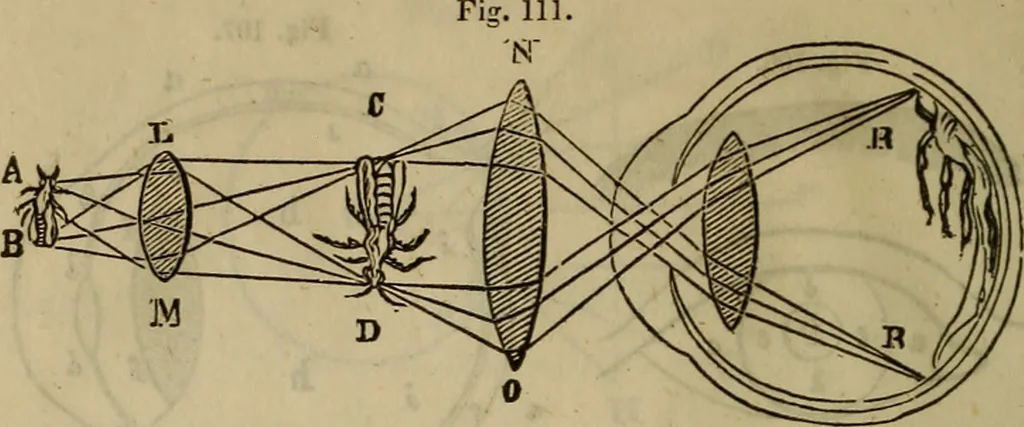 An illustration from The Boston school compendium of natural and experimental philosophy .., 1837, leaf 255