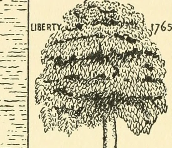 An illustration from Boston's story in inscriptions : being reproductions of the markings that are or have been on historic sites, 1908, leaf 21