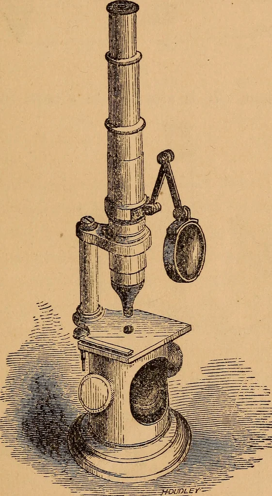 An illustration from The botanist's companion; or, Directions for the use of the microscope, 1860, leaf 16