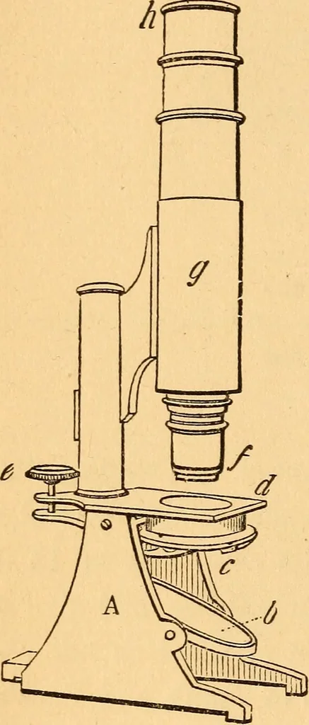 An illustration from The botanist's companion; or, Directions for the use of the microscope, 1860, leaf 19