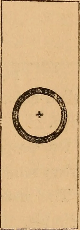 An illustration from The botanist's companion; or, Directions for the use of the microscope, 1860, leaf 36
