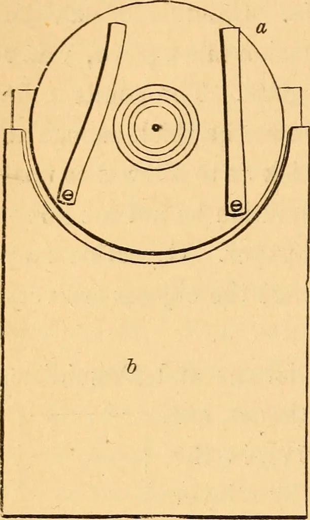 An illustration from The botanist's companion; or, Directions for the use of the microscope, 1860, leaf 37