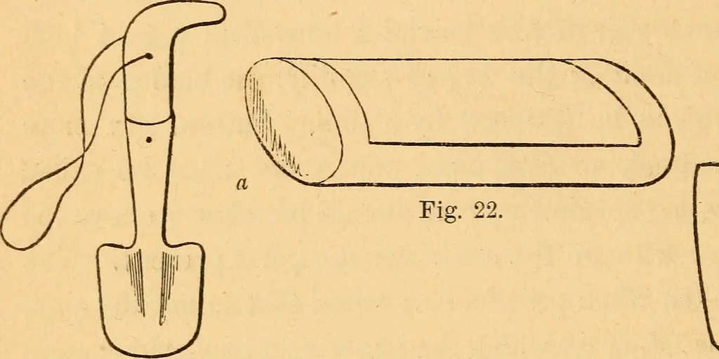 An illustration from The botanist's companion; or, Directions for the use of the microscope, 1860, leaf 49
