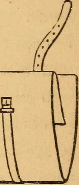 An illustration from The botanist's companion; or, Directions for the use of the microscope, 1860, leaf 49