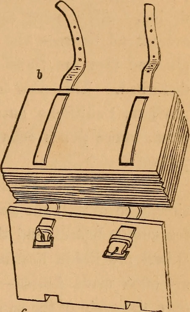 An illustration from The botanist's companion; or, Directions for the use of the microscope, 1860, leaf 50