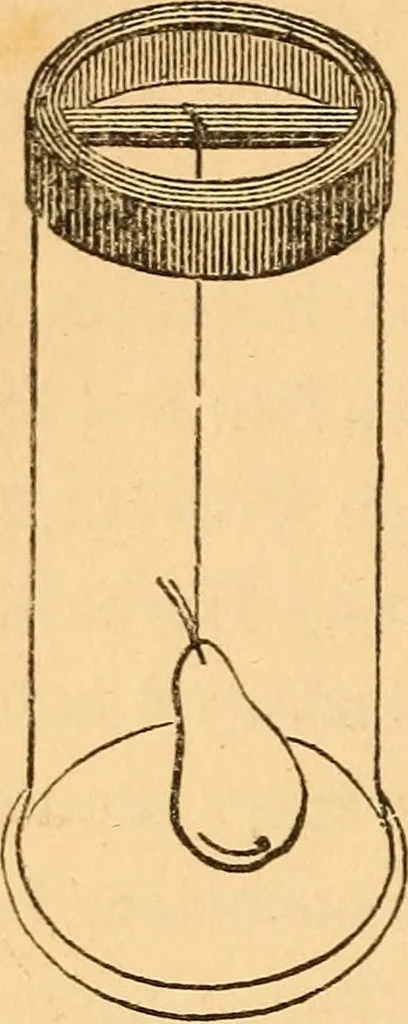 An illustration from The botanist's companion; or, Directions for the use of the microscope, 1860, leaf 57