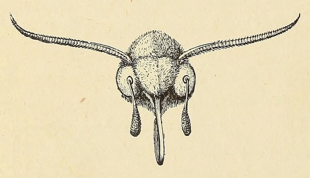 An illustration from Botany for young people. How plants behave: how they move, climb, employ insects to work for them, &c, 1872, leaf 34