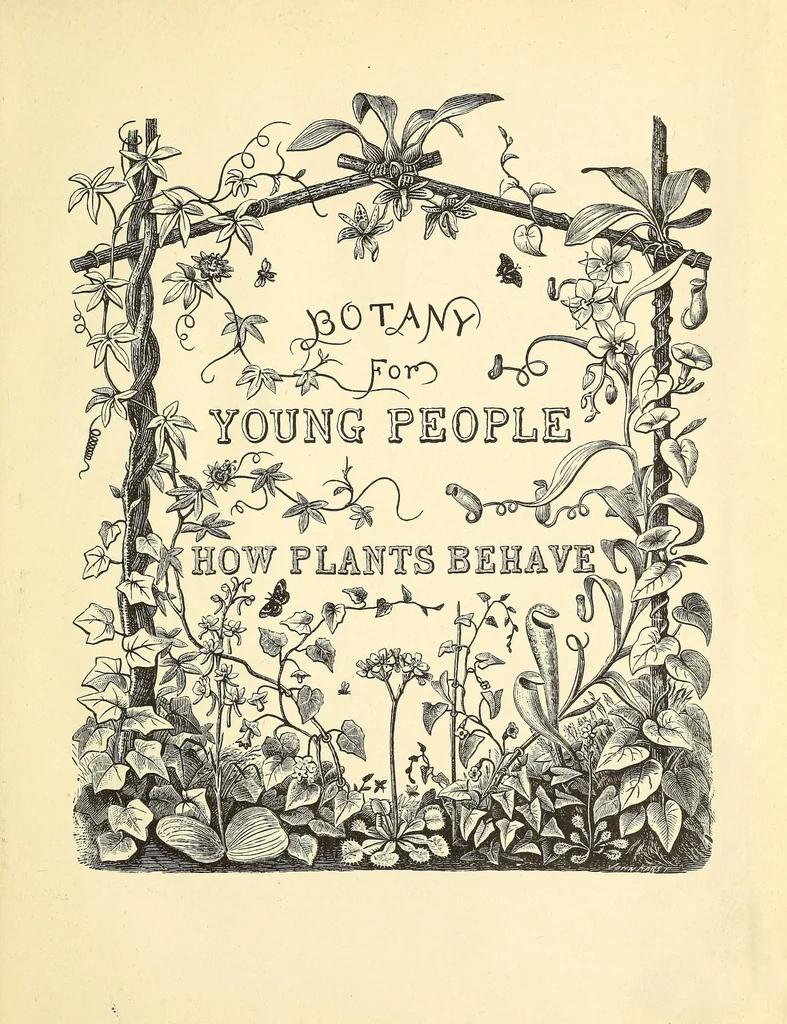 An illustration from Botany for young people. How plants behave: how they move, climb, employ insects to work for them, &c, 1872, leaf 9