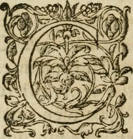An illustration from Bouclier sacré de patience --, 1631, leaf 405