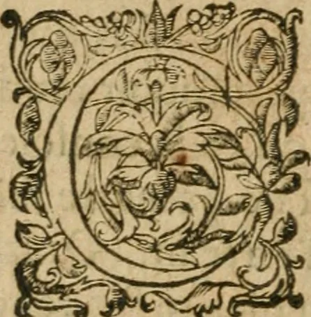 An illustration from Bouclier sacré de patience --, 1631, leaf 427