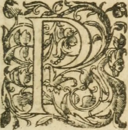 An illustration from Bouclier sacré de patience --, 1631, leaf 652