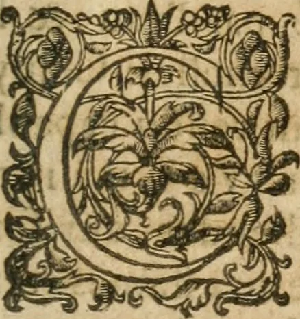 An illustration from Bouclier sacré de patience --, 1631, leaf 688
