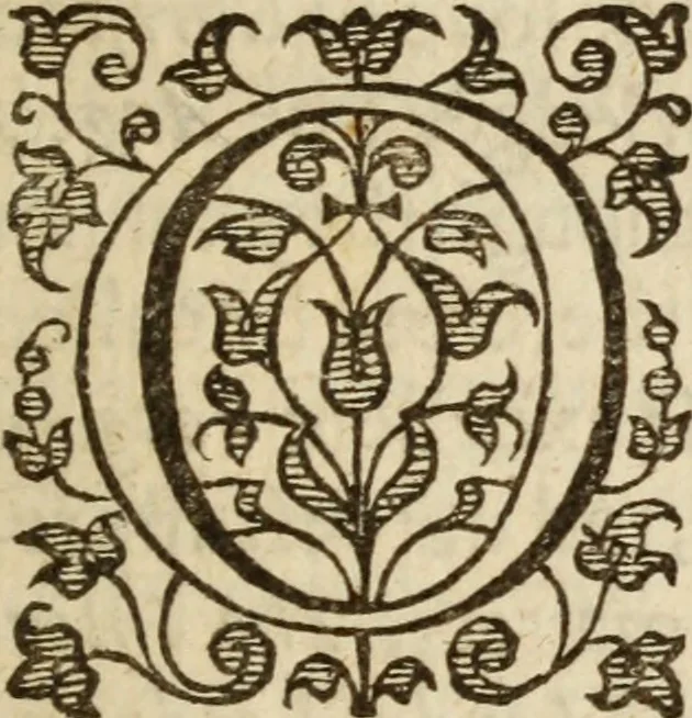 An illustration from Bowels opened : or, A discovery of the neere and deere love, union and communion betwixt Christ and the Church, and consequently betwixt Him and every beleeving soule ; Delivered in divers sermons on the fourth, fifth and sixt chapters of the Canticles, 1641, leaf 22