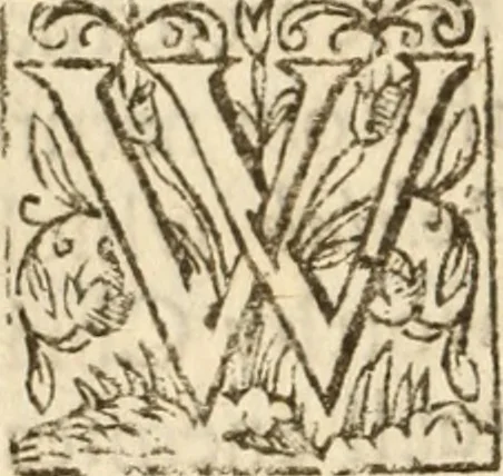 An illustration from Bowels opened : or, A discovery of the neere and deere love, union and communion betwixt Christ and the Church, and consequently betwixt Him and every beleeving soule ; Delivered in divers sermons on the fourth, fifth and sixt chapters of the Canticles, 1641, leaf 233