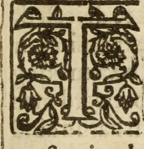 An illustration from Bowels opened : or, A discovery of the neere and deere love, union and communion betwixt Christ and the Church, and consequently betwixt Him and every beleeving soule ; Delivered in divers sermons on the fourth, fifth and sixt chapters of the Canticles, 1641, leaf 280
