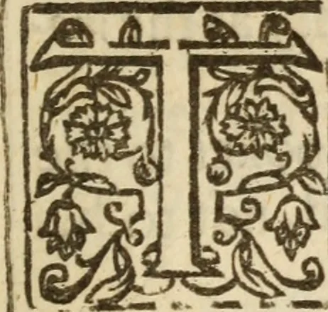 An illustration from Bowels opened : or, A discovery of the neere and deere love, union and communion betwixt Christ and the Church, and consequently betwixt Him and every beleeving soule ; Delivered in divers sermons on the fourth, fifth and sixt chapters of the Canticles, 1641, leaf 294