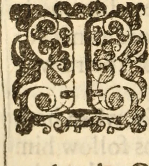 An illustration from Bowels opened : or, A discovery of the neere and deere love, union and communion betwixt Christ and the Church, and consequently betwixt Him and every beleeving soule ; Delivered in divers sermons on the fourth, fifth and sixt chapters of the Canticles, 1641, leaf 385