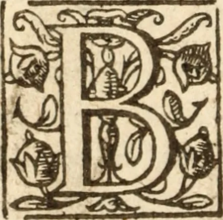 An illustration from Bowels opened : or, A discovery of the neere and deere love, union and communion betwixt Christ and the Church, and consequently betwixt Him and every beleeving soule ; Delivered in divers sermons on the fourth, fifth and sixt chapters of the Canticles, 1641, leaf 407