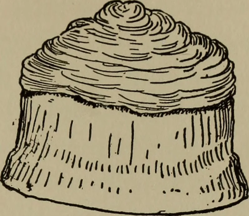 An illustration from The boy collector's handbook, 1915, leaf 104