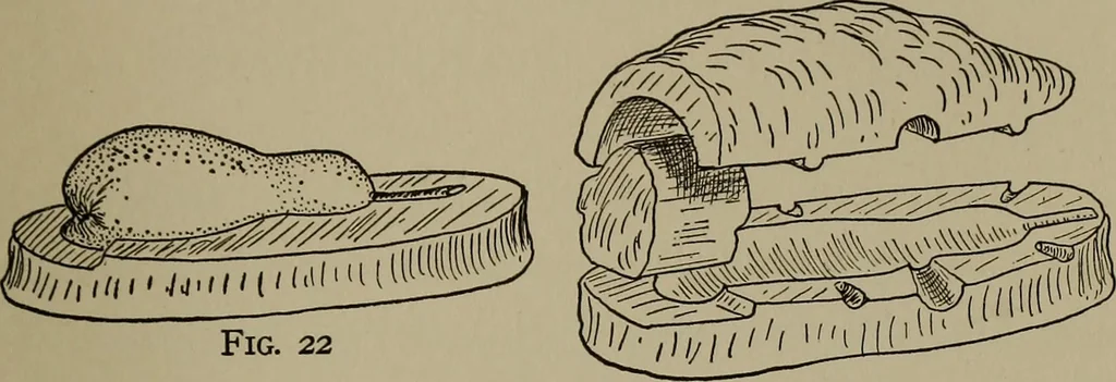 An illustration from The boy collector's handbook, 1915, leaf 114