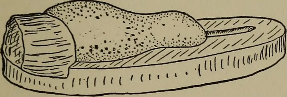 An illustration from The boy collector's handbook, 1915, leaf 114