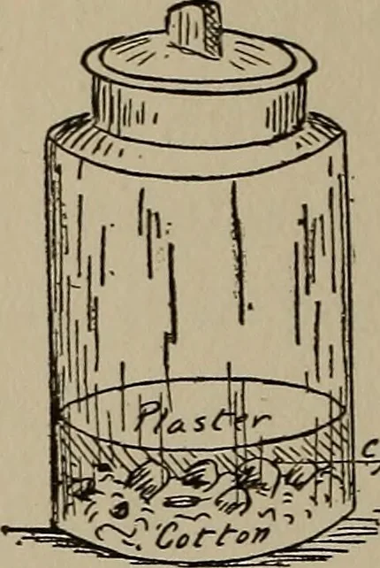 An illustration from The boy collector's handbook, 1915, leaf 123