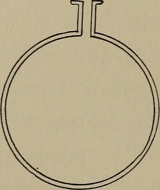 An illustration from The boy collector's handbook, 1915, leaf 123