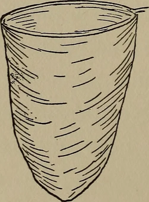 An illustration from The boy collector's handbook, 1915, leaf 123