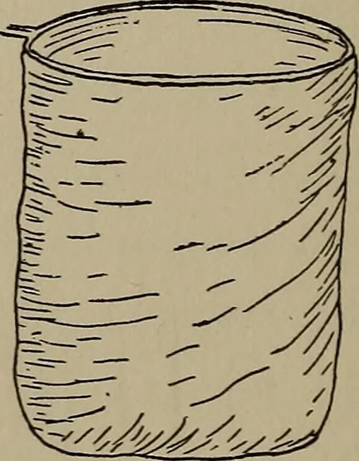 An illustration from The boy collector's handbook, 1915, leaf 123