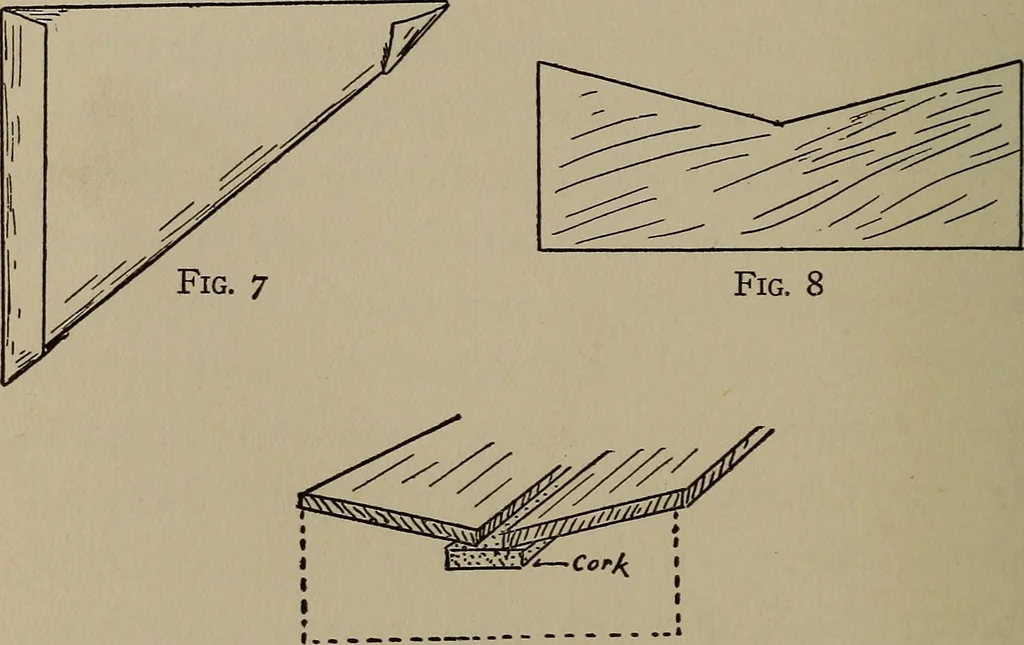An illustration from The boy collector's handbook, 1915, leaf 127