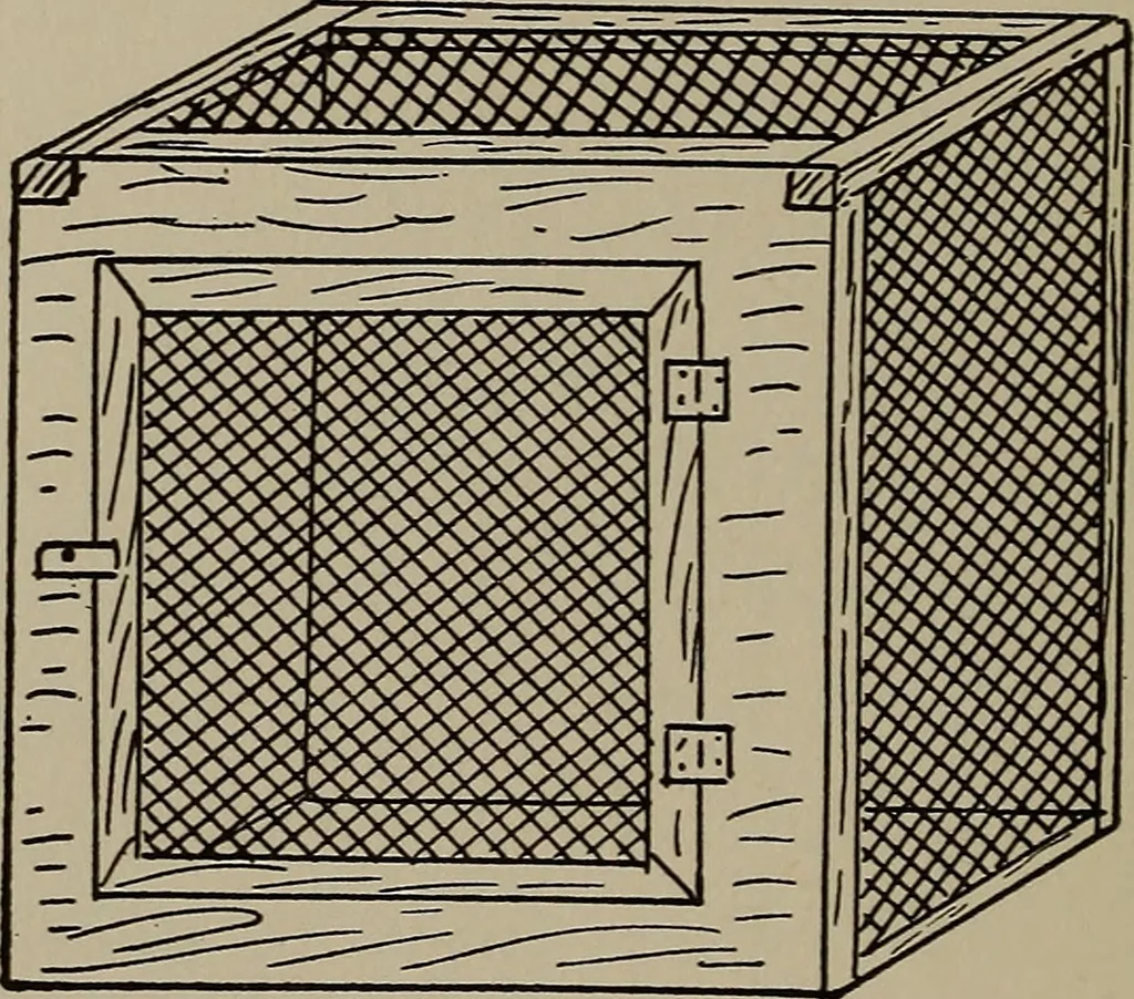 An illustration from The boy collector's handbook, 1915, leaf 129