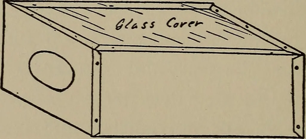 An illustration from The boy collector's handbook, 1915, leaf 133