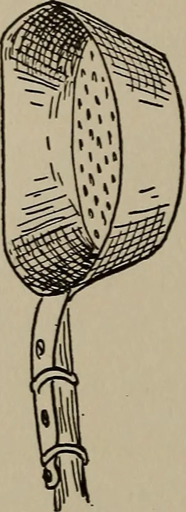 An illustration from The boy collector's handbook, 1915, leaf 175