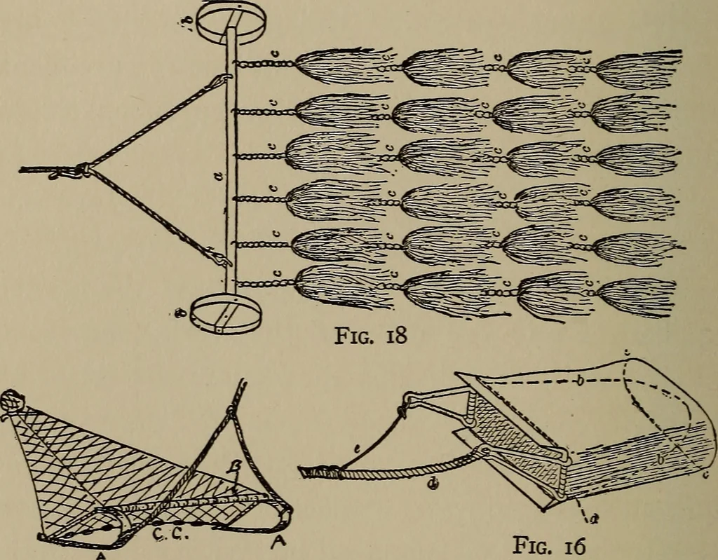 An illustration from The boy collector's handbook, 1915, leaf 203