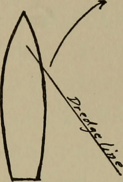 An illustration from The boy collector's handbook, 1915, leaf 206