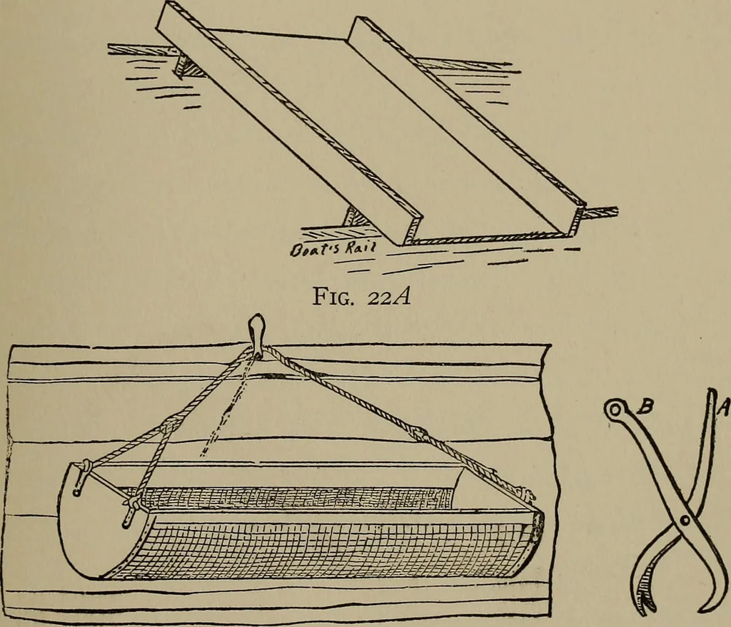 An illustration from The boy collector's handbook, 1915, leaf 206