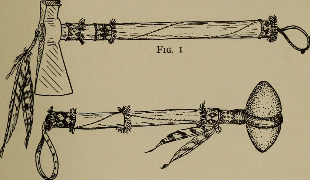 An illustration from The boy collector's handbook, 1915, leaf 286