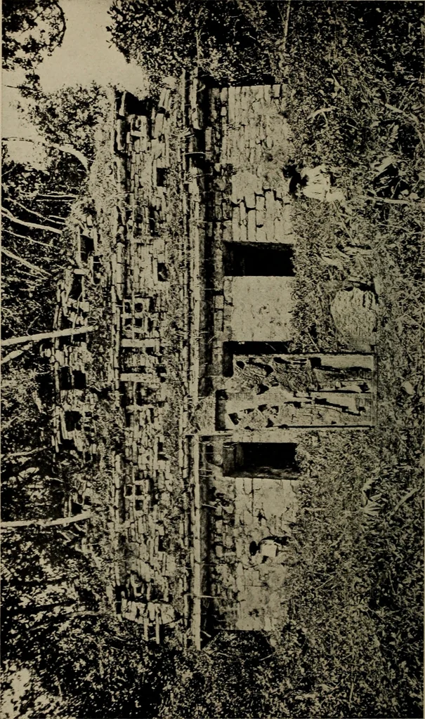 An illustration from The boy collector's handbook, 1915, leaf 295