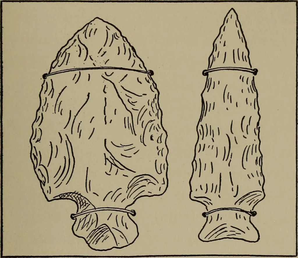 An illustration from The boy collector's handbook, 1915, leaf 300