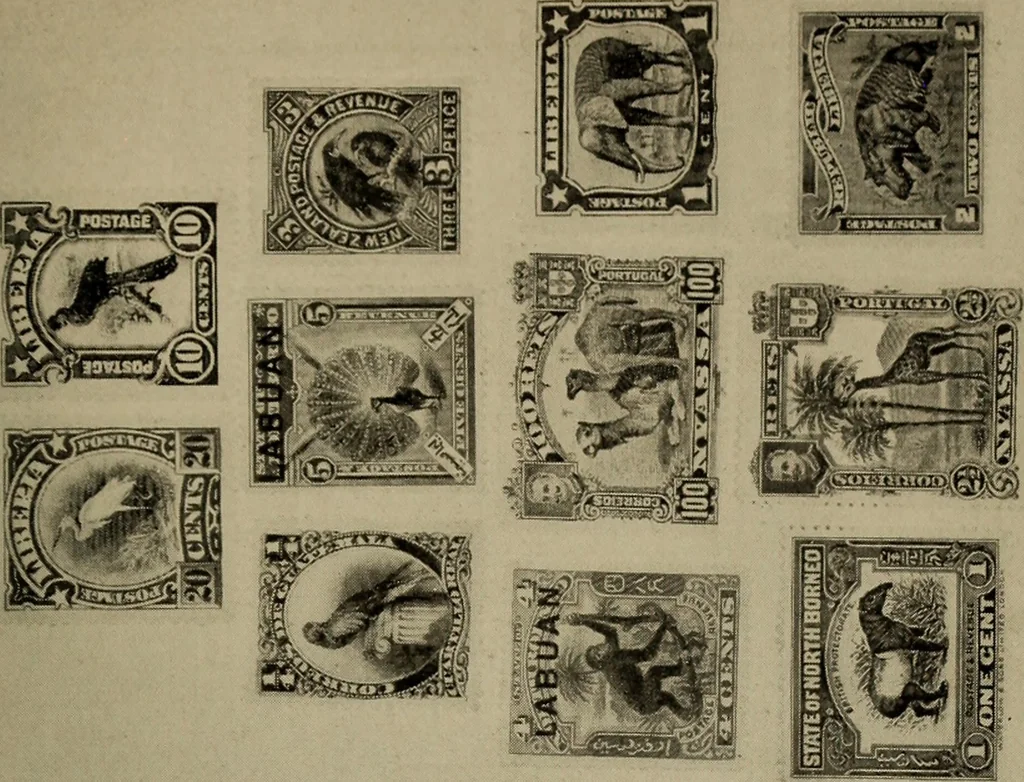 An illustration from The boy collector's handbook, 1915, leaf 318