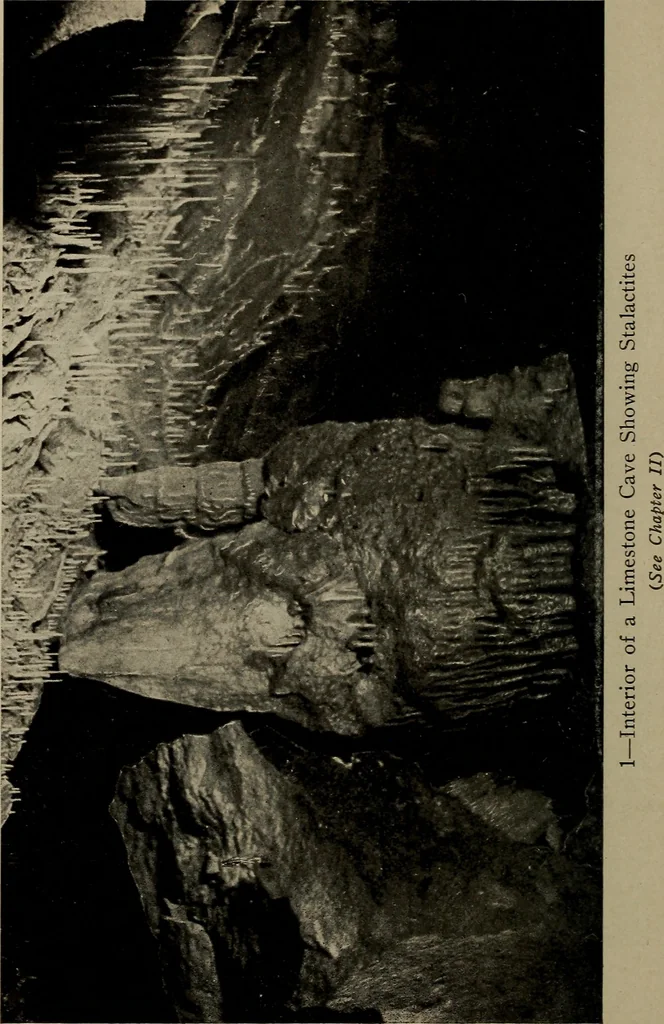 An illustration from The boy collector's handbook, 1915, leaf 49