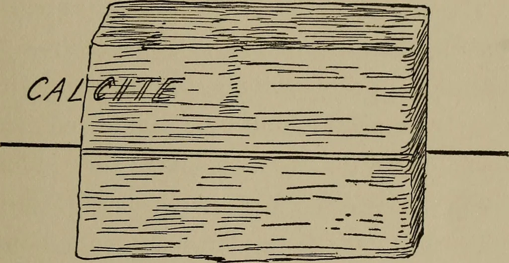 An illustration from The boy collector's handbook, 1915, leaf 52