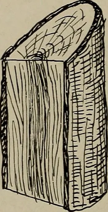 An illustration from The boy collector's handbook, 1915, leaf 83
