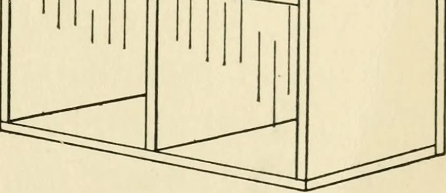An illustration from The boy craftsman; practical ad profitable ideas for a boy's leisure hours, 1905, leaf 156