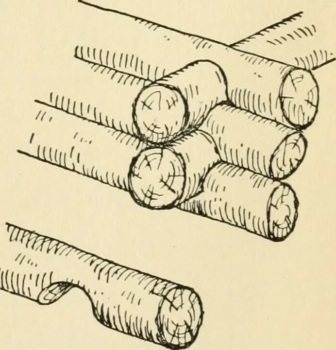 An illustration from The boy craftsman; practical ad profitable ideas for a boy's leisure hours, 1905, leaf 230
