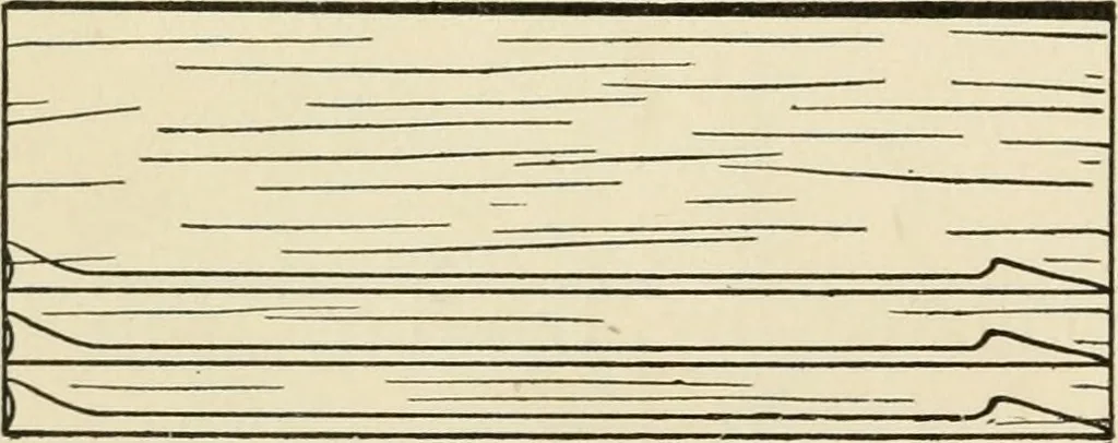 An illustration from The boy craftsman; practical ad profitable ideas for a boy's leisure hours, 1905, leaf 277